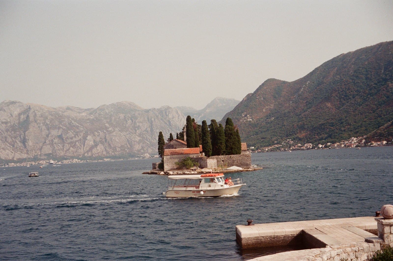 mare